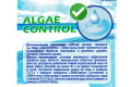 Средство для очистки воды в бассейне Альгитинн, от водорослей, 3 л
