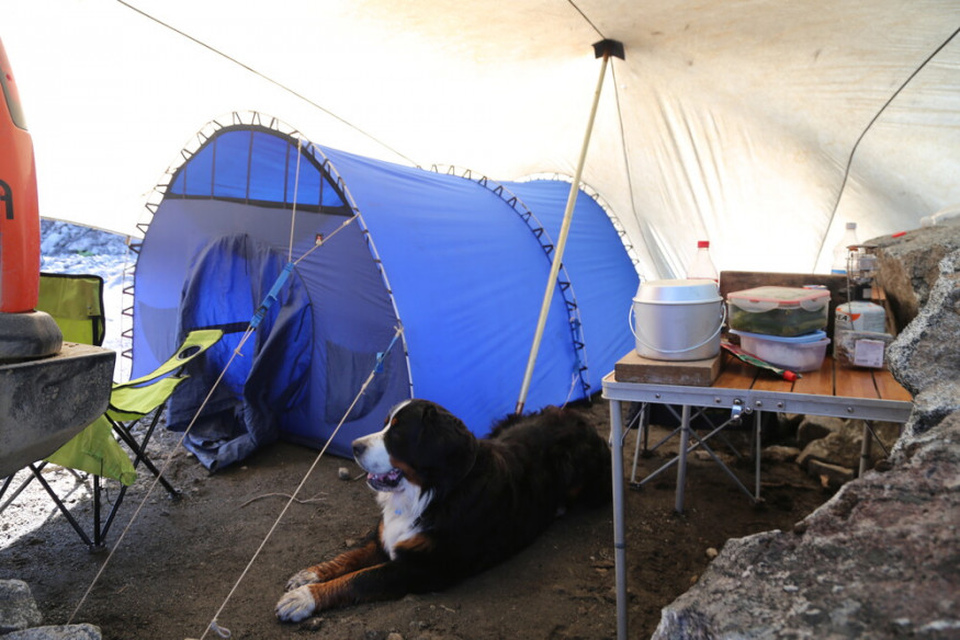 Тент Век 7х9 костровой